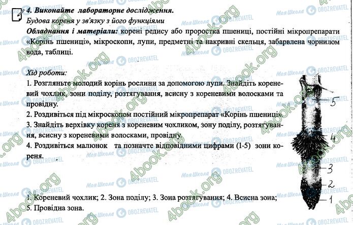 ГДЗ Биология 6 класс страница 26-27.4